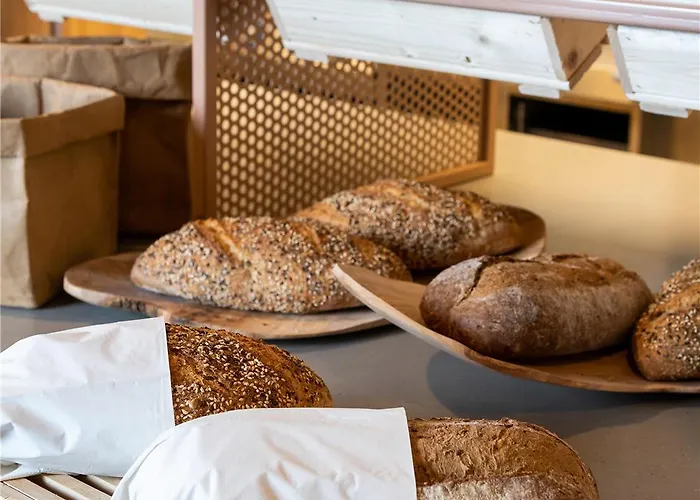 Hotel Adagio Access Centrum Dampoort Gante